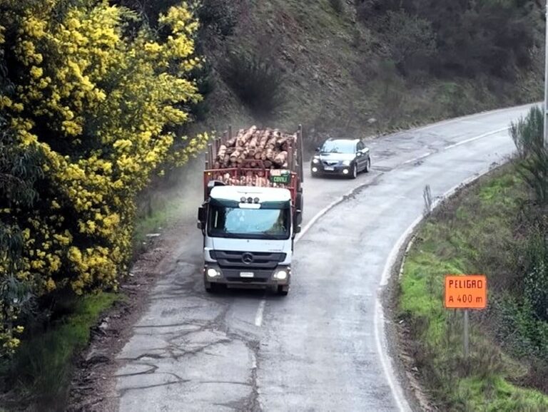 $6 mil millones para mejorar la ruta Lumaco-Capitán Pastene